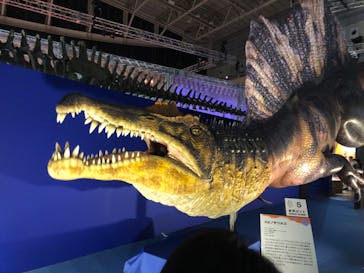 巨大恐竜展2024に投稿された画像（2024/7/21）