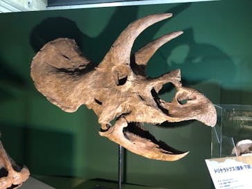 巨大恐竜展2024に投稿された画像（2024/7/21）