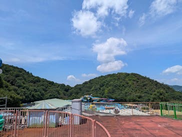 日本モンキーパークに投稿された画像（2024/7/21）