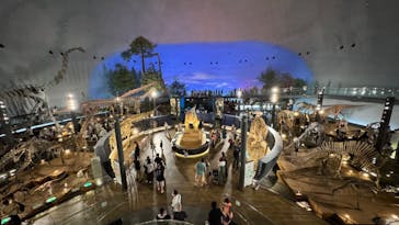 福井県立恐竜博物館に投稿された画像（2024/7/21）