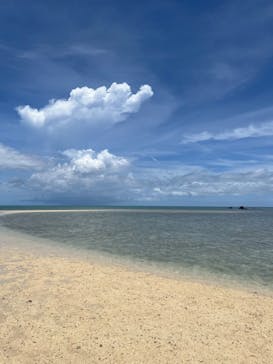 シメラギに投稿された画像（2024/7/21）