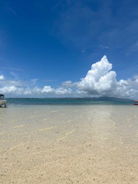 シメラギに投稿された画像（2024/7/21）