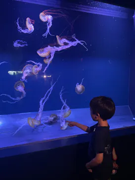 すみだ水族館に投稿された画像（2024/7/21）