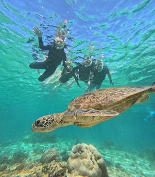 nico 宮古島に投稿された画像（2024/7/22）