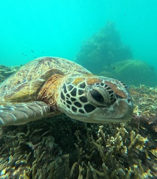 nico 宮古島に投稿された画像（2024/7/22）