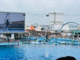 名古屋港水族館に投稿された画像（2024/7/22）