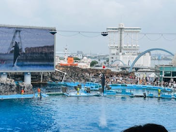 名古屋港水族館に投稿された画像（2024/7/22）