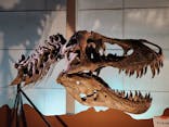 巨大恐竜展2024に投稿された画像（2024/7/22）