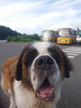 東北サファリパークに投稿された画像（2024/7/22）