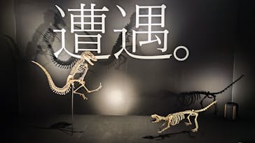 DinoScience 恐竜科学博 ～ララミディア大陸の恐竜物語～ 2024@OSAKAに投稿された画像（2024/7/22）