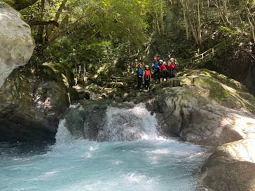 フィールドアースに投稿された画像（2024/7/22）