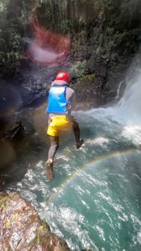 フィールドアースに投稿された画像（2024/7/22）