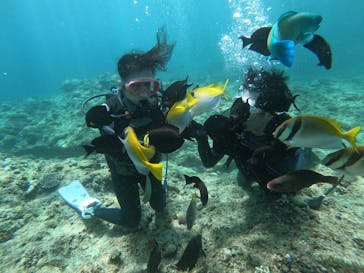 武藤潜水に投稿された画像（2024/7/22）