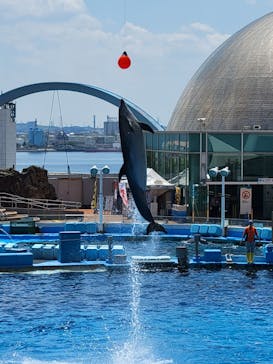 名古屋港水族館に投稿された画像（2024/7/22）