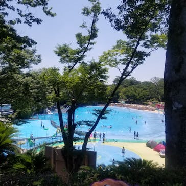 西武園ゆうえんちに投稿された画像（2024/7/22）