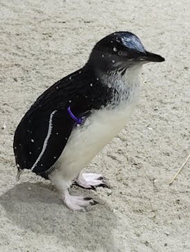 AOAO SAPPOROに投稿された画像（2024/7/22）