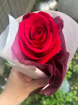 カルティエと日本　半世紀のあゆみ　「結 MUSUBI」展 ― 美と芸術をめぐる対話（東京国立博物館　表慶館））に投稿された画像（2024/7/22）