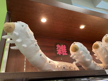 特別展「昆虫 MANIAC」（国立科学博物館）に投稿された画像（2024/7/22）