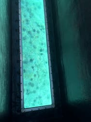 青の洞窟 小樽グラスボートに投稿された画像（2024/7/22）
