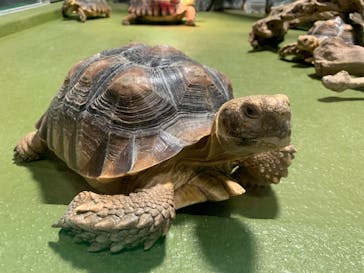 竹島水族館に投稿された画像（2024/7/22）