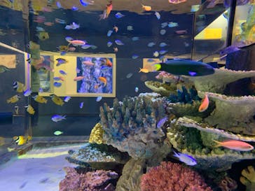 竹島水族館に投稿された画像（2024/7/22）