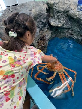竹島水族館に投稿された画像（2024/7/22）