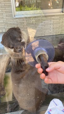 下田海中水族館に投稿された画像（2024/7/22）