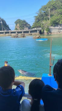 下田海中水族館に投稿された画像（2024/7/22）
