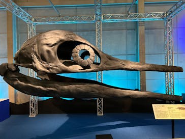 巨大恐竜展2024に投稿された画像（2024/7/22）
