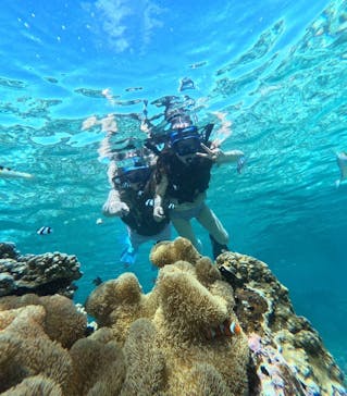 宮古島 ADVENTURE PiPi（ミヤコジマ アドベンチャー ピピ）に投稿された画像（2024/7/22）