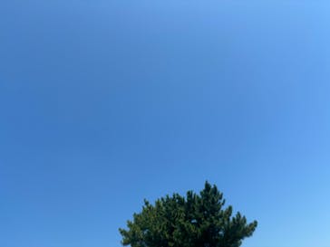 川越水上公園（埼玉県公園緑地協会）に投稿された画像（2024/7/22）