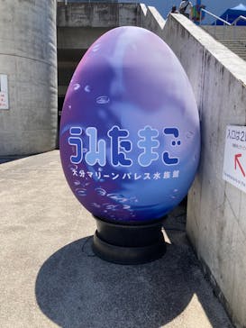 大分マリーンパレス水族館 「うみたまご」に投稿された画像（2024/7/22）