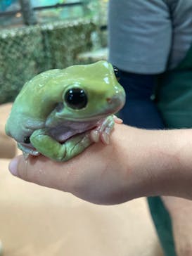 いきもの探検隊上尾に投稿された画像（2024/7/22）