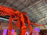 巨大恐竜展2024に投稿された画像（2024/7/22）
