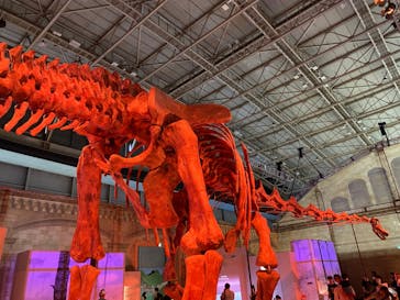 巨大恐竜展2024に投稿された画像（2024/7/22）