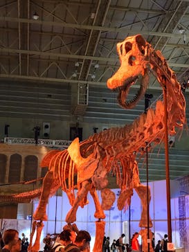 巨大恐竜展2024に投稿された画像（2024/7/22）