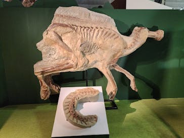 巨大恐竜展2024に投稿された画像（2024/7/22）