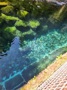 箱根園水族館に投稿された画像（2024/7/22）