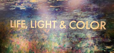 モネ＆フレンズ・アライブに投稿された画像（2024/7/22）