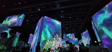 モネ＆フレンズ・アライブに投稿された画像（2024/7/22）