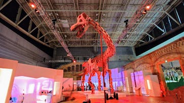 巨大恐竜展2024に投稿された画像（2024/7/22）