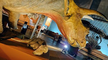 巨大恐竜展2024に投稿された画像（2024/7/22）