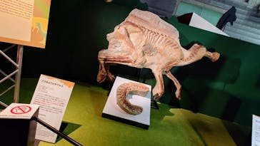 巨大恐竜展2024に投稿された画像（2024/7/22）
