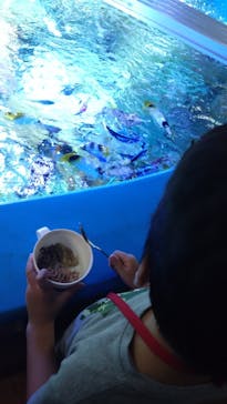 しながわ水族館に投稿された画像（2024/7/22）