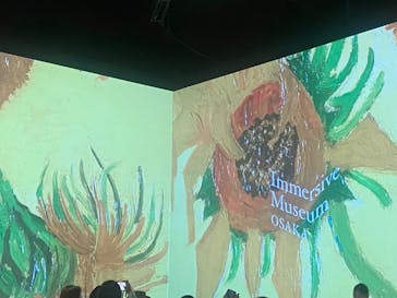 Immersive Museum OSAKA 2025に投稿された画像（2024/7/22）