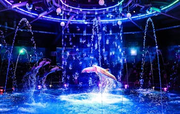 マクセル アクアパーク品川に投稿された画像（2024/7/22）