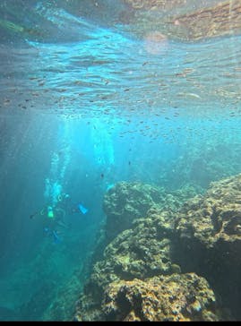 Simple marine service（シンプルマリンサービス）に投稿された画像（2024/7/22）