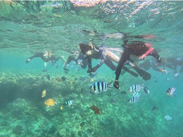 Simple marine service（シンプルマリンサービス）に投稿された画像（2024/7/22）