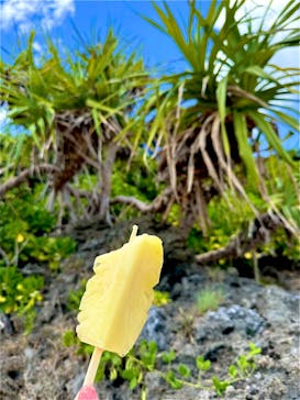 西表島 ADVENTURE PiPi（アドベンチャーピピ）に投稿された画像（2024/7/22）