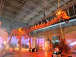 巨大恐竜展2024に投稿された画像（2024/7/22）